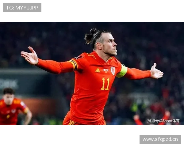 阿瑙托维奇战术适配性分析：近期表现稳健，角色定位清晰